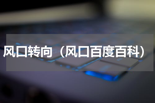 风口转向（风口百度百科）
