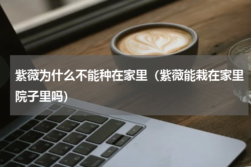 紫薇为什么不能种在家里（紫薇能栽在家里院子里吗）