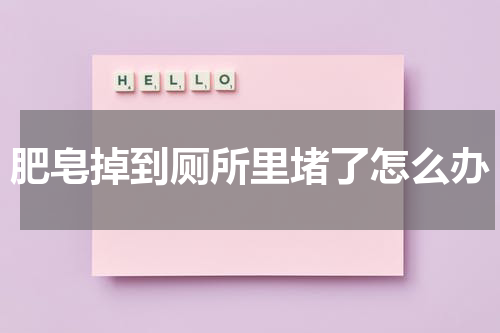肥皂掉到厕所里堵了怎么办