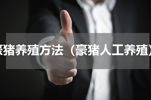 豪猪养殖方法（豪猪人工养殖）