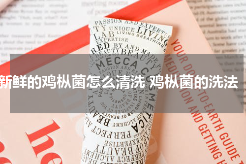 新鲜的鸡枞菌怎么清洗 鸡枞菌的洗法