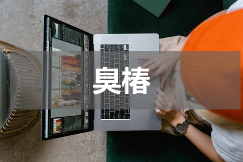 臭椿
