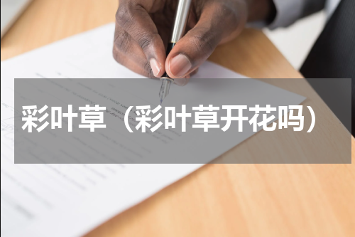 彩叶草（彩叶草开花吗）