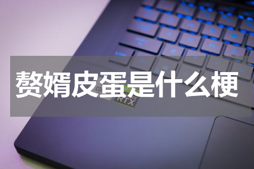 赘婿皮蛋是什么梗