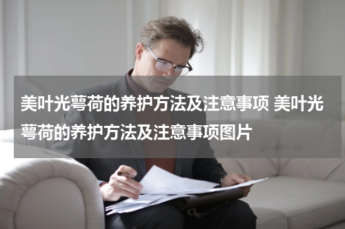 美叶光萼荷的养护方法及注意事项 美叶光萼荷的养护方法及注意事项图片