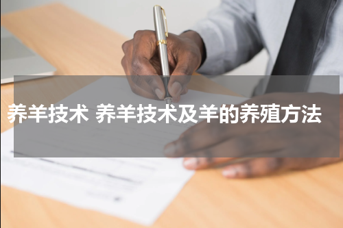养羊技术 养羊技术及羊的养殖方法