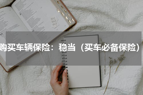 购买车辆保险：稳当（买车必备保险）