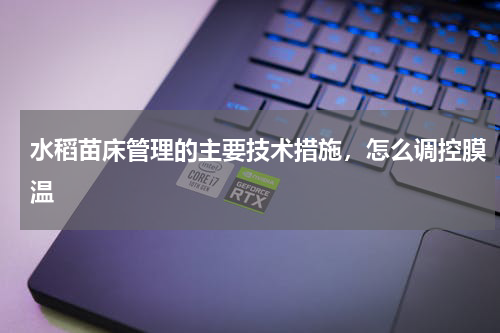 水稻苗床管理的主要技术措施，怎么调控膜温