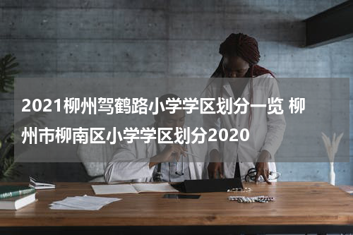 2021柳州驾鹤路小学学区划分一览 柳州市柳南区小学学区划分2020