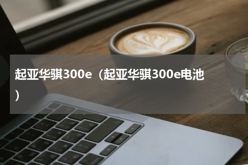 起亚华骐300e（起亚华骐300e电池）