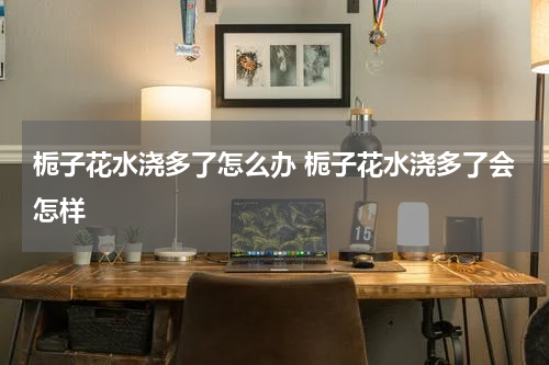 栀子花水浇多了怎么办 栀子花水浇多了会怎样