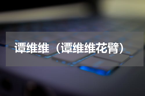 谭维维（谭维维花臂）