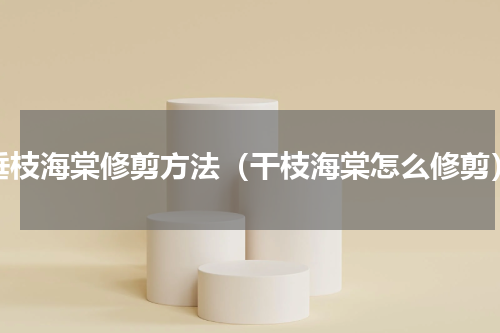 垂枝海棠修剪方法（干枝海棠怎么修剪）