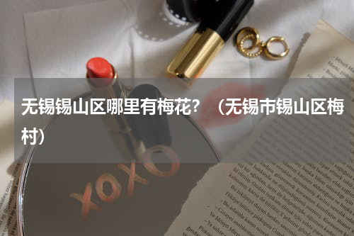 无锡锡山区哪里有梅花？（无锡市锡山区梅村）