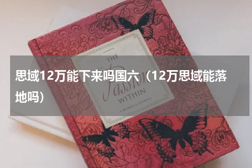 思域12万能下来吗国六（12万思域能落地吗）