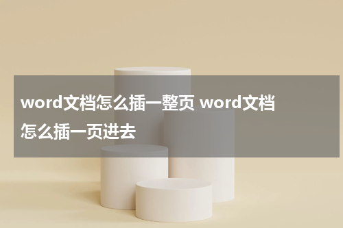 word文档怎么插一整页 word文档怎么插一页进去