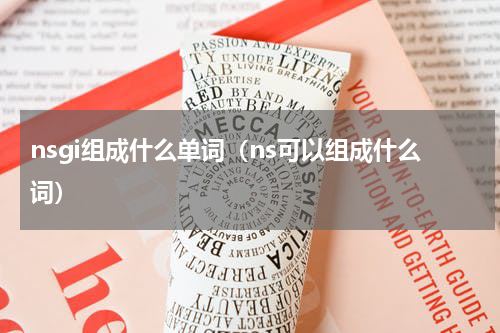 nsgi组成什么单词（ns可以组成什么词）