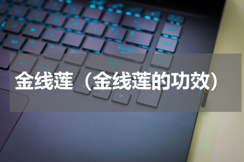 金线莲（金线莲的功效）