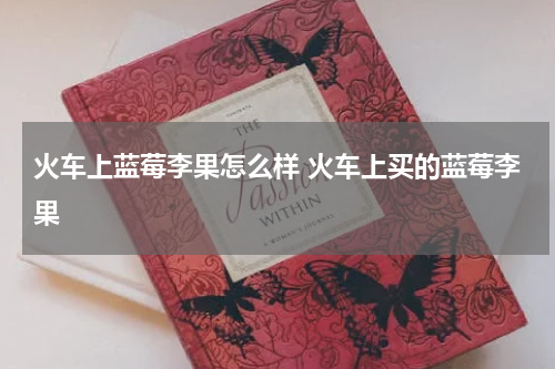 火车上蓝莓李果怎么样 火车上买的蓝莓李果