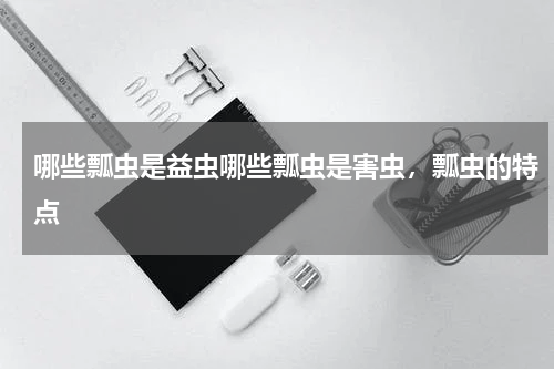 哪些瓢虫是益虫哪些瓢虫是害虫，瓢虫的特点