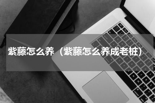 紫藤怎么养（紫藤怎么养成老桩）