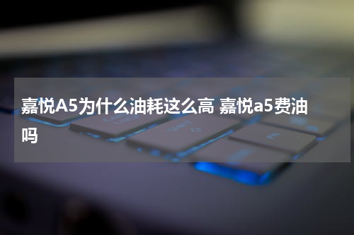 嘉悦A5为什么油耗这么高 嘉悦a5费油吗
