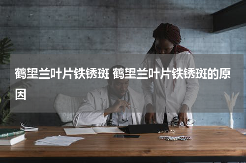 鹤望兰叶片铁锈斑 鹤望兰叶片铁锈斑的原因