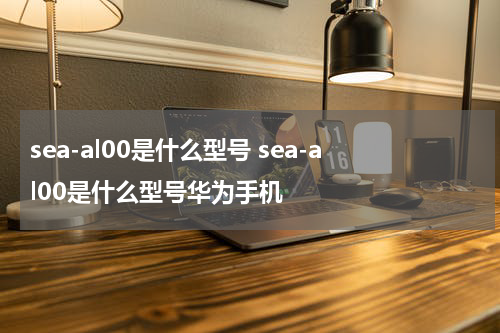 sea-al00是什么型号 sea-al00是什么型号华为手机