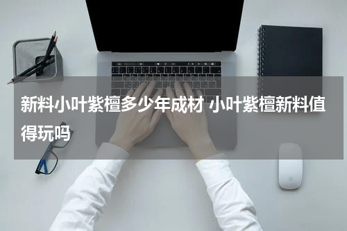 新料小叶紫檀多少年成材 小叶紫檀新料值得玩吗