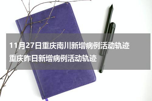 11月27日重庆南川新增病例活动轨迹 重庆昨日新增病例活动轨迹