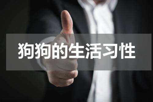 狗狗的生活习性