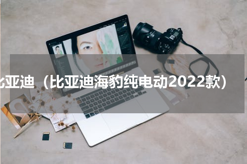 比亚迪（比亚迪海豹纯电动2022款）