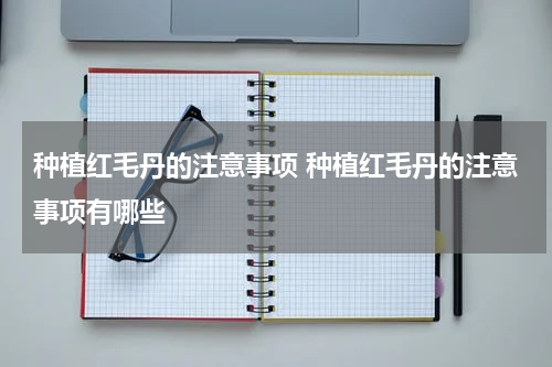 种植红毛丹的注意事项 种植红毛丹的注意事项有哪些