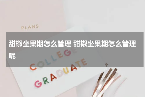 甜椒坐果期怎么管理 甜椒坐果期怎么管理呢
