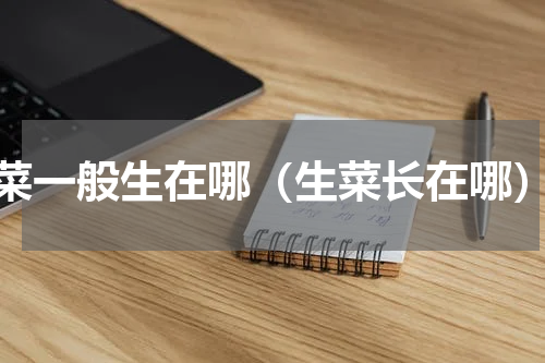 菜一般生在哪（生菜长在哪）