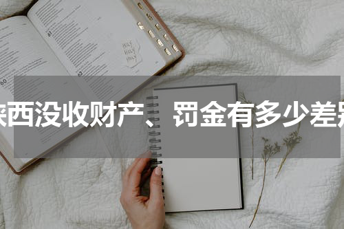 陕西没收财产、罚金有多少差别