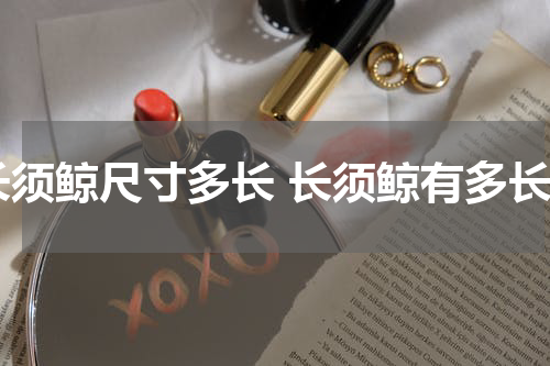 长须鲸尺寸多长 长须鲸有多长
