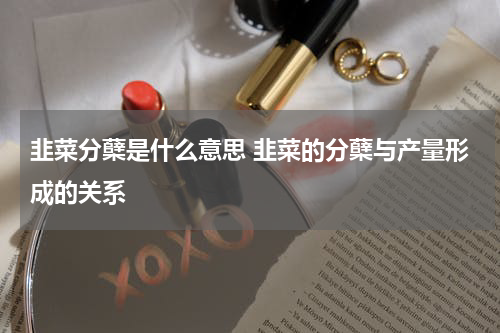 韭菜分蘖是什么意思 韭菜的分蘖与产量形成的关系