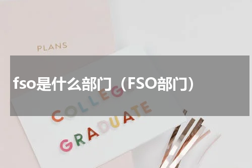 fso是什么部门（FSO部门）