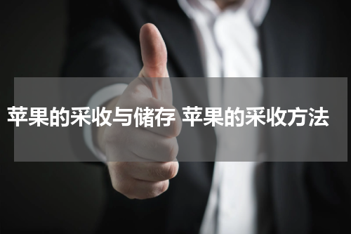 苹果的采收与储存 苹果的采收方法