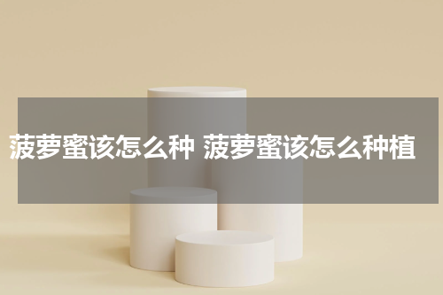 菠萝蜜该怎么种 菠萝蜜该怎么种植