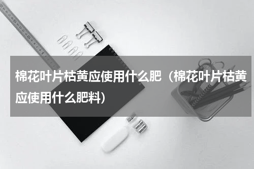 棉花叶片枯黄应使用什么肥（棉花叶片枯黄应使用什么肥料）