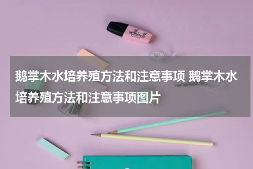 鹅掌木水培养殖方法和注意事项 鹅掌木水培养殖方法和注意事项图片