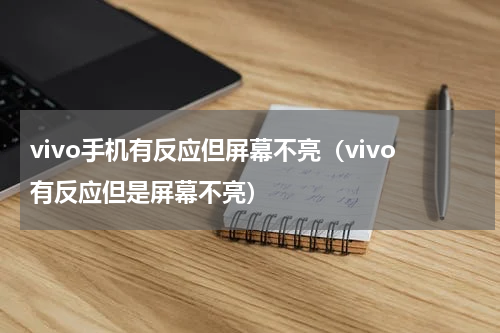vivo手机有反应但屏幕不亮（vivo有反应但是屏幕不亮）