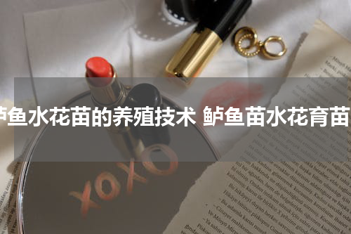 鲈鱼水花苗的养殖技术 鲈鱼苗水花育苗