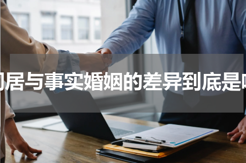 同居与事实婚姻的差异到底是啥