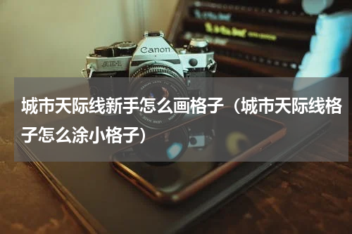 城市天际线新手怎么画格子（城市天际线格子怎么涂小格子）