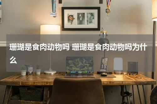 珊瑚是食肉动物吗 珊瑚是食肉动物吗为什么