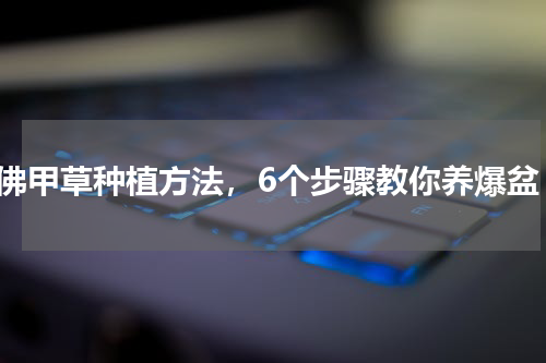 佛甲草种植方法，6个步骤教你养爆盆