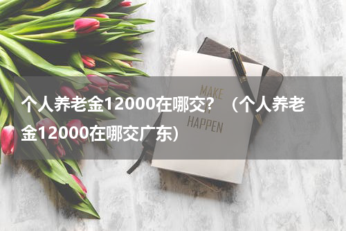 个人养老金12000在哪交？（个人养老金12000在哪交广东）